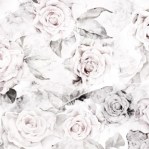 rose_decay_lite_main_image_2