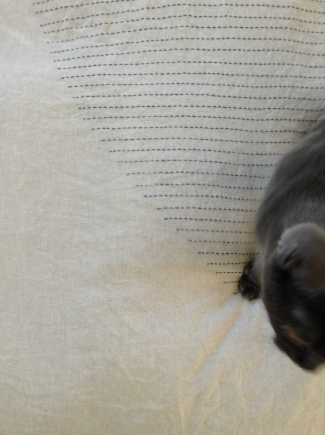 Panda Wine photo bomb