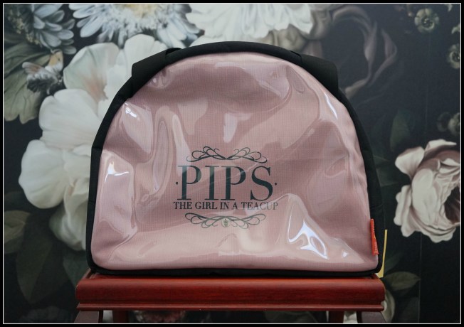 The Girl in a Teacup