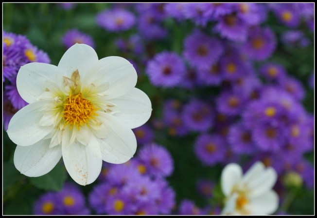 International Women's Day