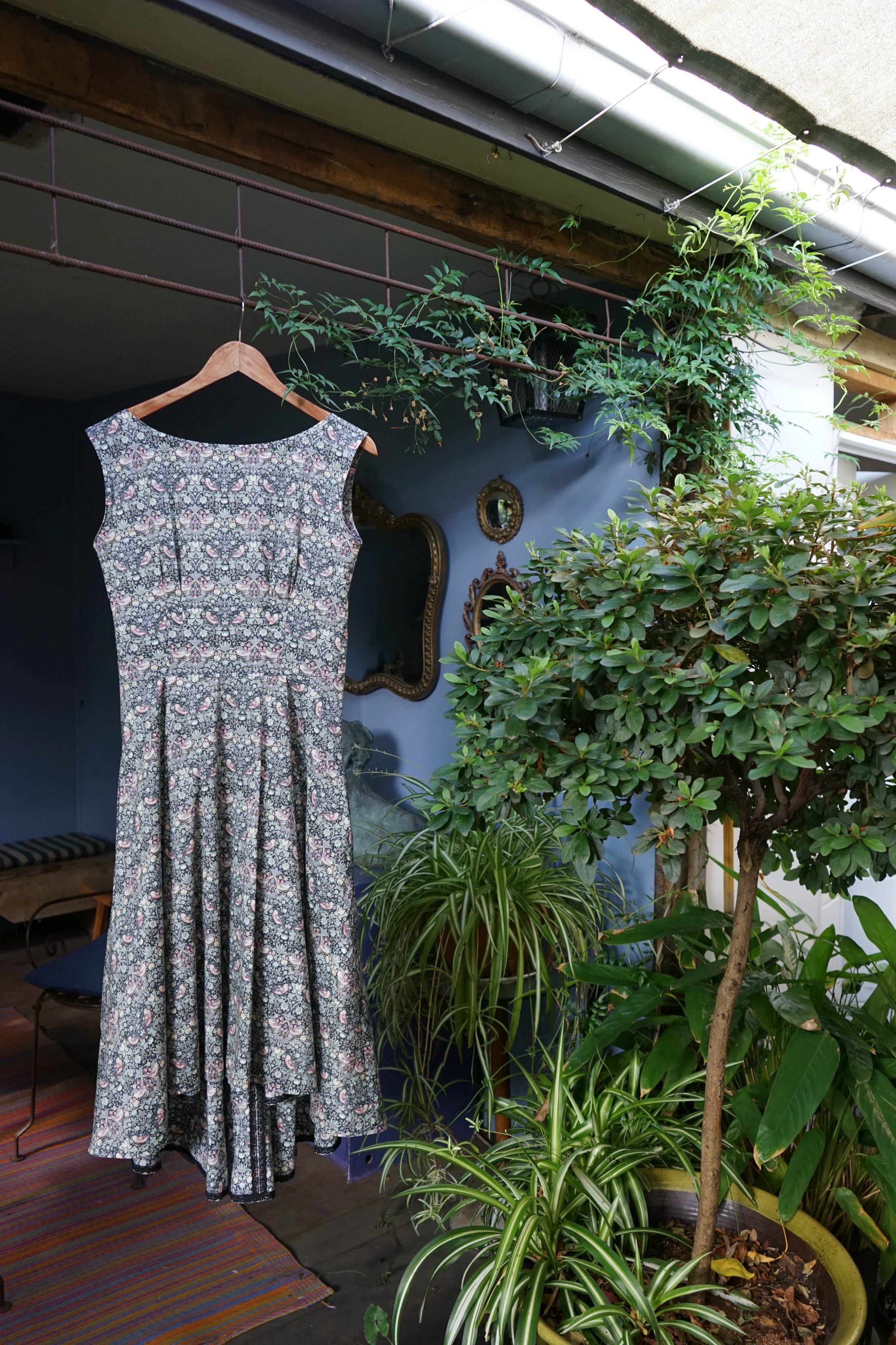 Strawberry Thief in the Wild