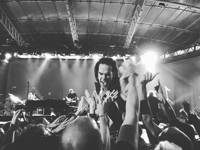 Nick Cave